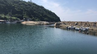 津井港