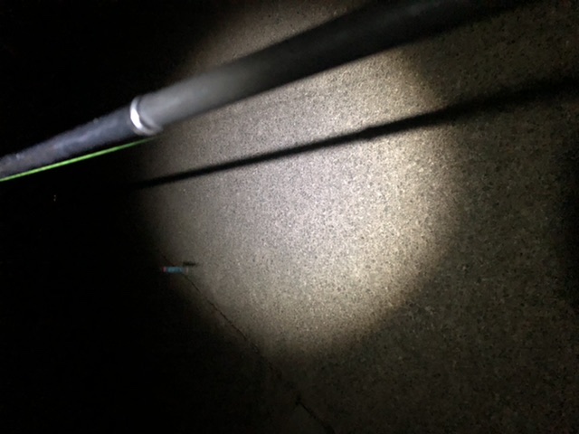 釣り場で使ってみたライト